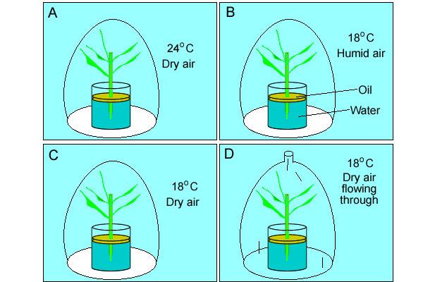how do you write a poem analysis essay?